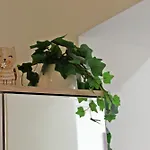 Διαμέρισμα Meow