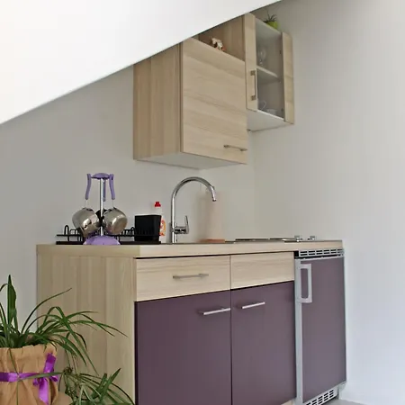 Meow Apartment *