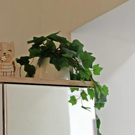 Apartment Meow
